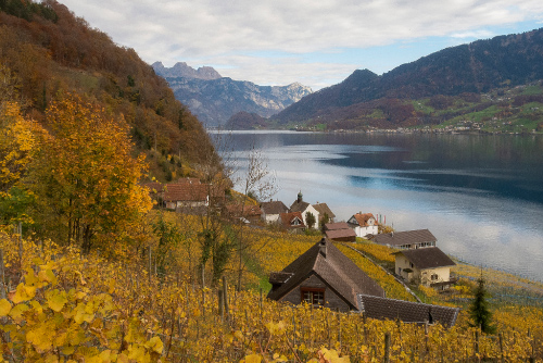 Herbstliche Landschaft in der Schweiz