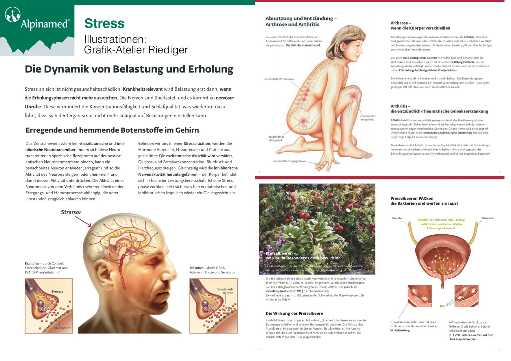 Medizinische Illustrationen zu Stress